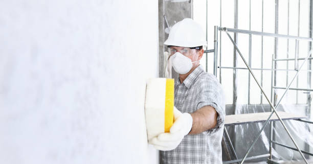 Best Emergency Mold Remediation  in Cecilia, LA