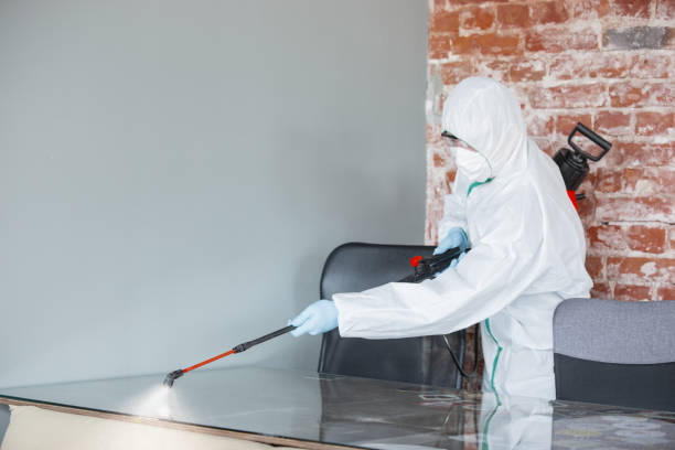 Mold Documentation for Insurance Claims in Cecilia, LA